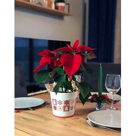 Slika 39.064.14 Posuda okruglog oblika