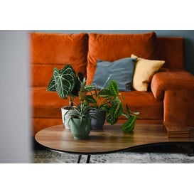 Slika 05.349.14 Posuda okruglog oblika - zelena terrazzo