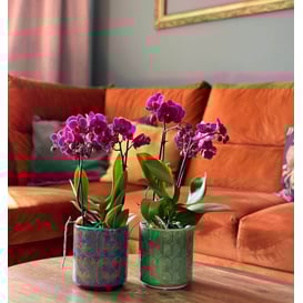 Slika VINTAGE 05.334.14 