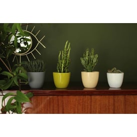 Slika 71.023.07 Posuda četvrtastog oblika - krem