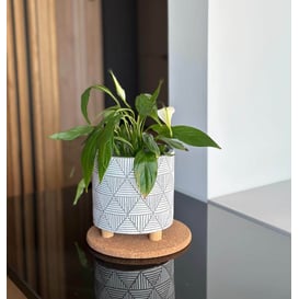 Slika 05.187.14 Posuda okruglog oblika sa drvenim nogama