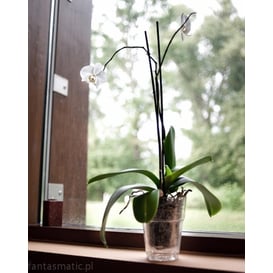 Slika 50.001.14 Posuda okruglog oblika - prozirna