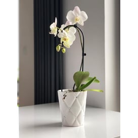 Slika 02.692.14 Posuda okruglog oblika - bijela 