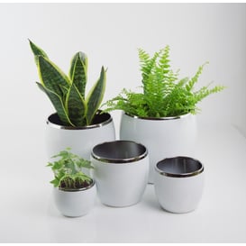 Picture of 31.073. 11/15/17/23 Set od 4 posude okruglog oblika - bijela/srebrna