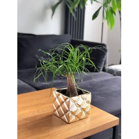 Slika 02.707.14 Posuda četvrtastog oblika - zlatna