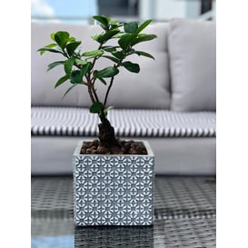 Slika 05.160.14 Posuda četvrtastog oblika - etno