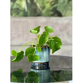 Slika 05.340.14 Posuda okruglog oblika - tamnoplava