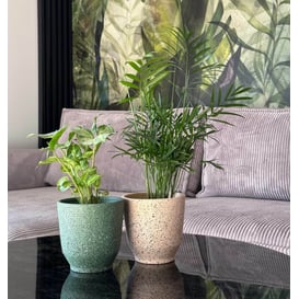 Slika 05.349.14 Posuda okruglog oblika - zelena terrazzo