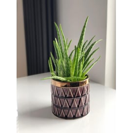 Picture of 09.124.14 Posuda okruglo oblika - ljubičasta/zlatna