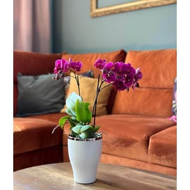 Slika 31.039.18 Posuda okruglog oblika - bijela