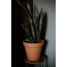 Slika 87.101 Posuda okruglog oblika sa rubom - terakota