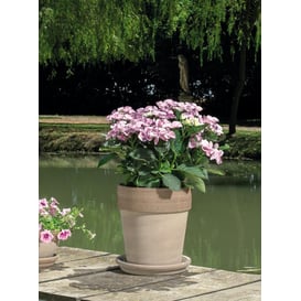 Slika ITA podloga 23cm - bijela kava