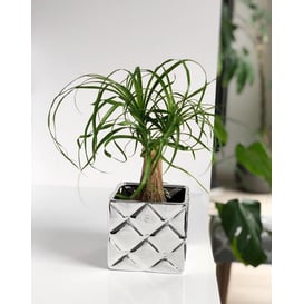 Slika 02.706.14 Posuda četvrtastog oblika - srebrna