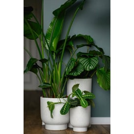 Slika 01.517. 24/27/30 Set od tri posude okruglog oblika - bijela (teraco)