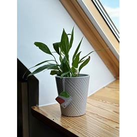 Slika 02.732.13 Posuda kružnog oblika - lila