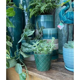 Slika 07.115.14 Posuda okruglog oblika - zelena