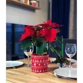 Picture of 35.064.14 Posuda u obliku cilindra - crvena 