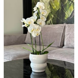 Slika 05.312.14 Posuda okruglog oblika - bijela 