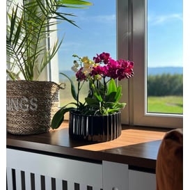 Slika 05.260.26 Posuda okruglog oblika - crna