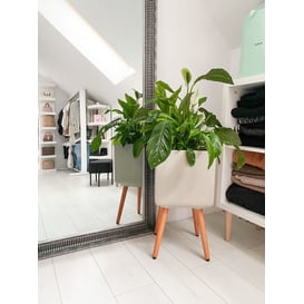 Slika 88.049.30 Velika posuda četvrtastog oblika sa drvenim nogama