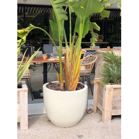 Slika 28.028.41 Velika posuda okruglog oblika sa podlogom - krem