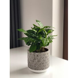 Slika 05.191.14 Posuda okruglog oblika - siva srca