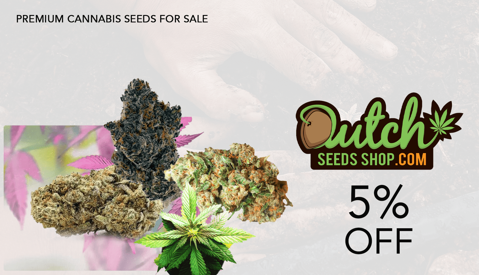 Dutch Seeds Shop CBD Coupon Code Website