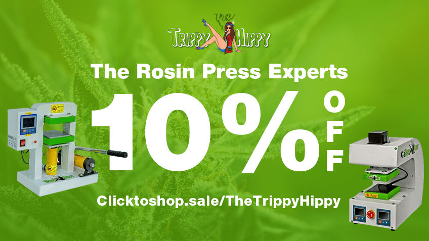 The Trippy Hippy Discount Coupon Promo Certificate Website