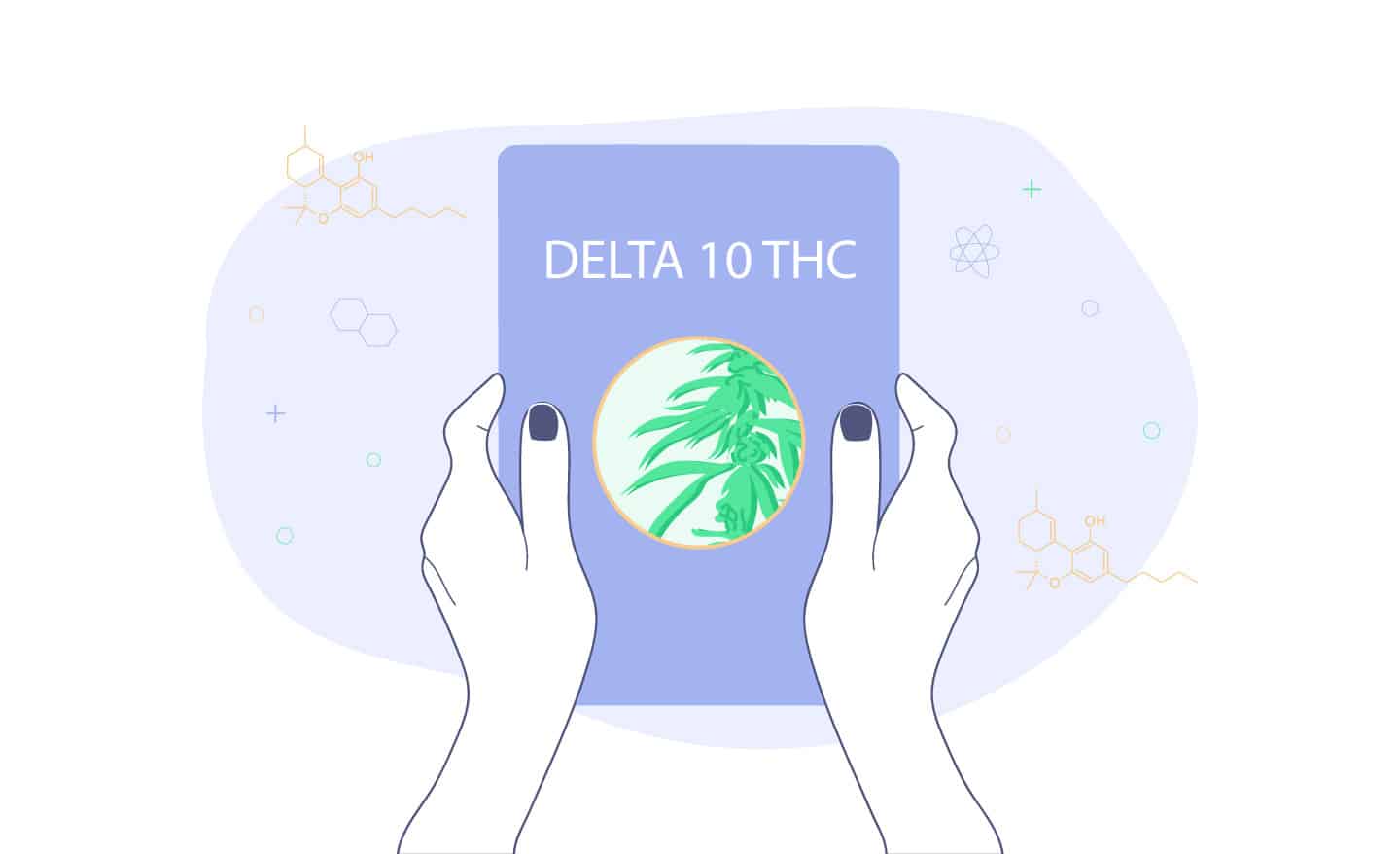 Delta 10 Thc Guide