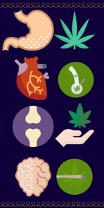 Colorful Icons Representing Different Cannabis Strains Paired With Icons Representing Different Health Problems And Physical Ailments.