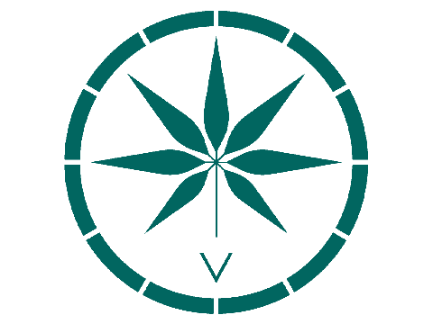Voyager CBD Coupon Code Logo