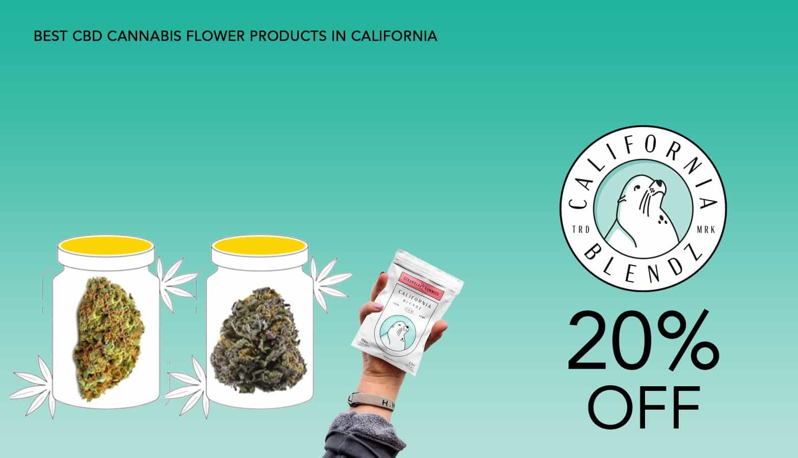 California Blendz Coupons Website