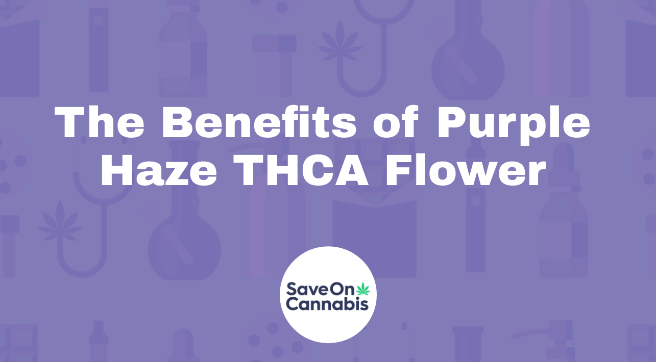 Guide To Purple Haze Thca Flower