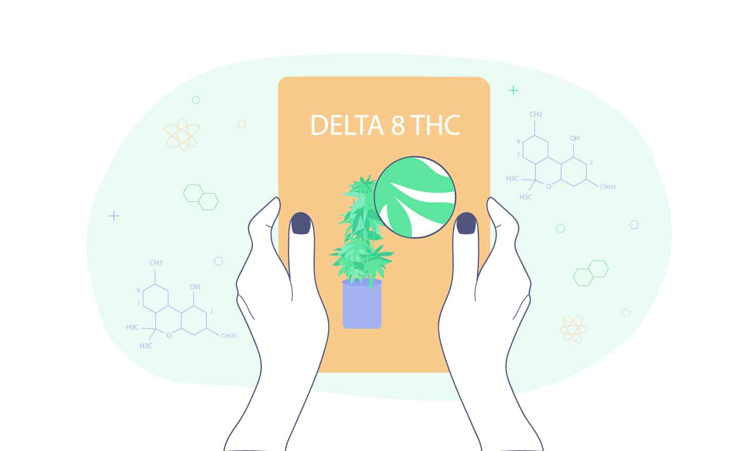 Delta-8-Thc Guide