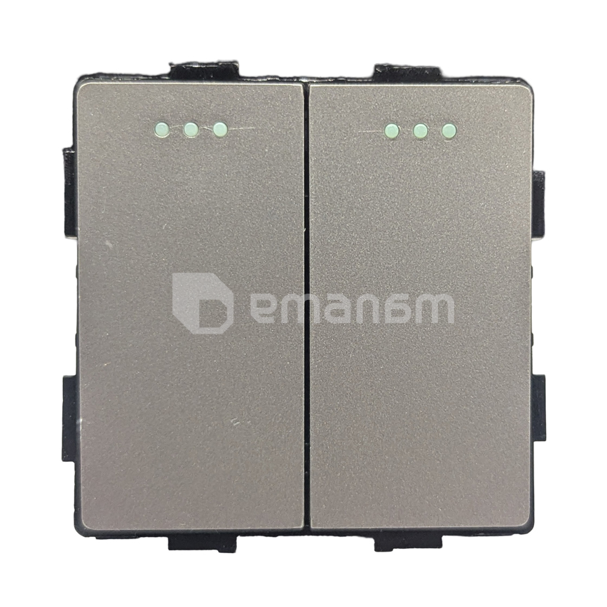 ჩამრთველი Socket Style 2 მექანიკური ორიანი 2G-2W ნაცრისფერი