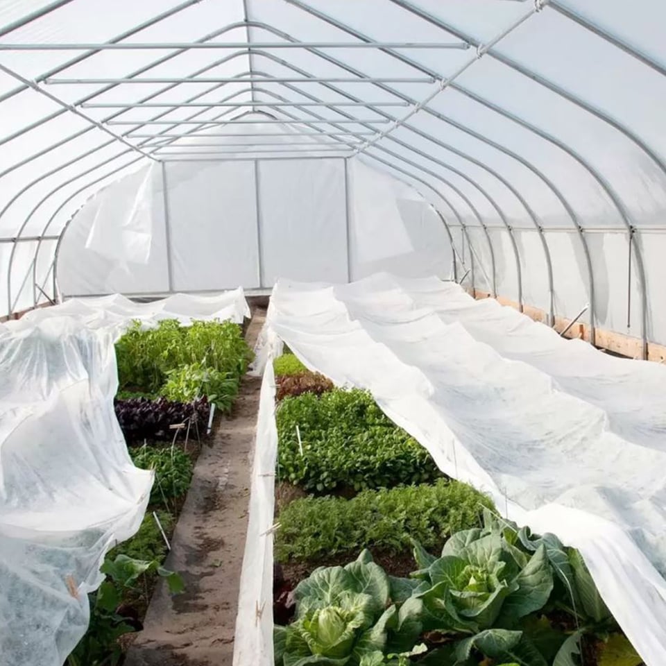 აგრობოჭკო თეთრი 30გ/მ2 1.6х100 მ