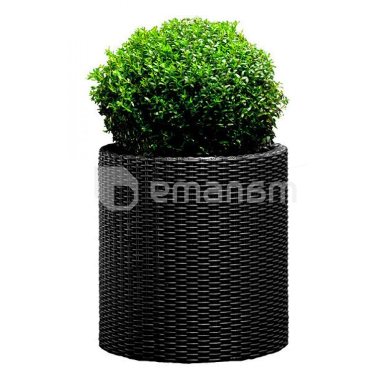 ყვავილის ქოთანი Keter Cylinder Planter Large 43.7x43.7x44.3 სმ ნაცრისფერი