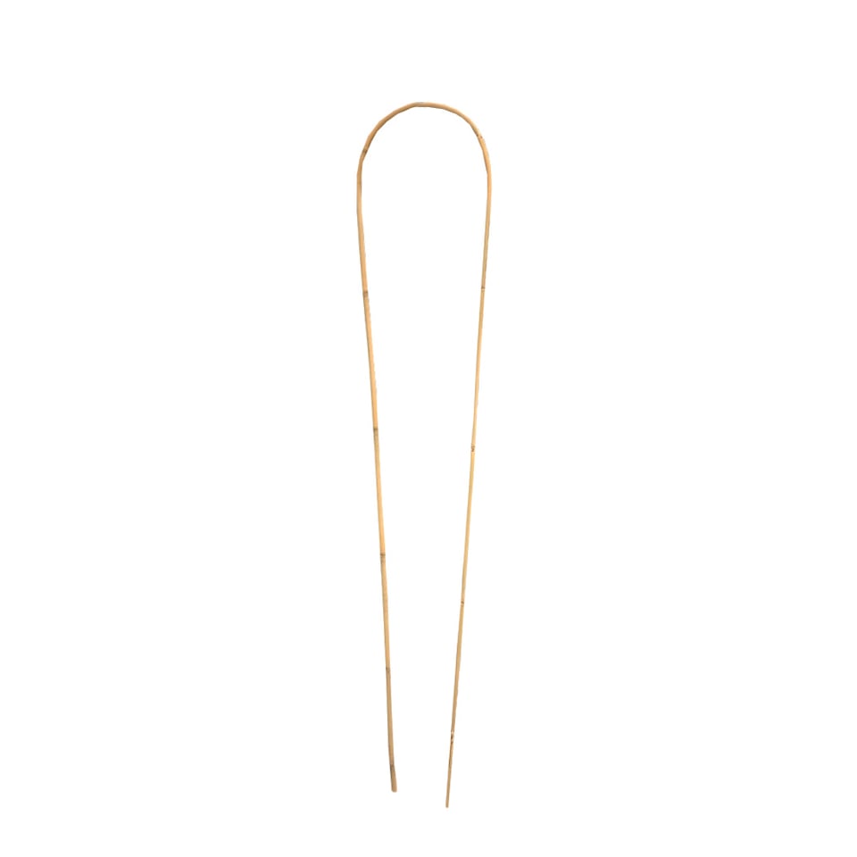 ბამბუკი დეკორატიული 60 სმ