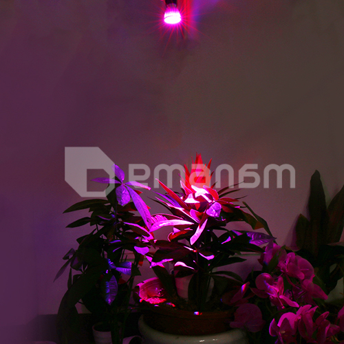 ნათურა მცენარეების SJ_10w_003 10W E27