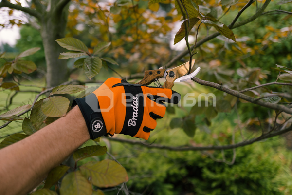 სეკატორი Bradas KT-V1036 25 მმ