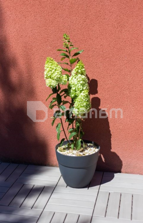 ქოთანი პლასტმასის EDA Plastiques POT CANCUN 39,5 X 34,2სმ 28,3ლ