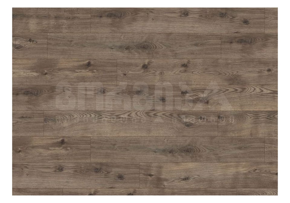 ლამინირებული იატაკი  1292*192*8მმ (31 კლასი) EBL019  BASIC