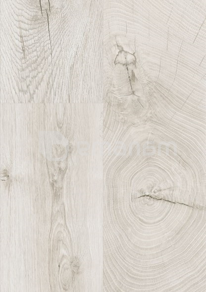ლამინატი Kaindl ET HG მუხა Fresco Snow 1383x159x8 AC4/32