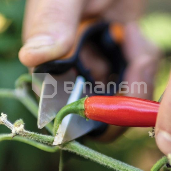 მაკრატელი ბალახის Fiskars SP-220