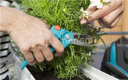 ბაღის ინსტრუმენტების ნაკრები Gardena 8970-20 6 ც