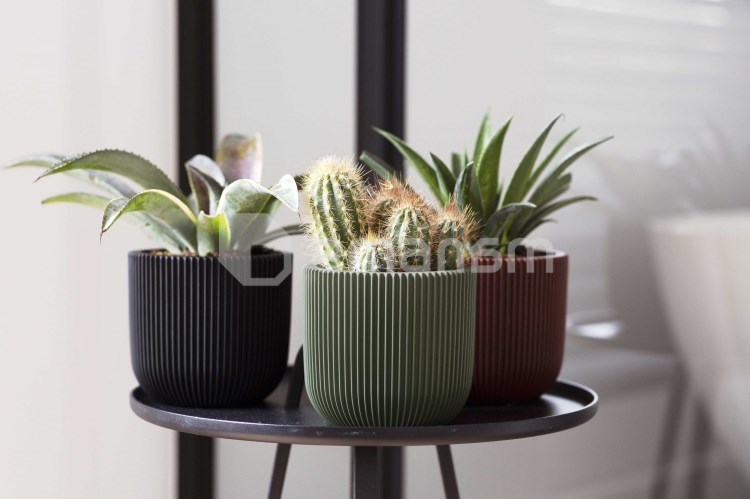 ქოთანი ყვავილის Capi Europe Planter ball Groove 14x13სმ მწვანე