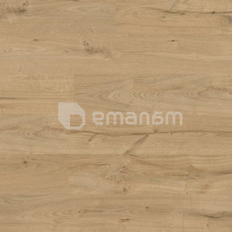 ლამინატი Kaindl ET HG მუხა Wild 1383x159x8 AC4/32 4V