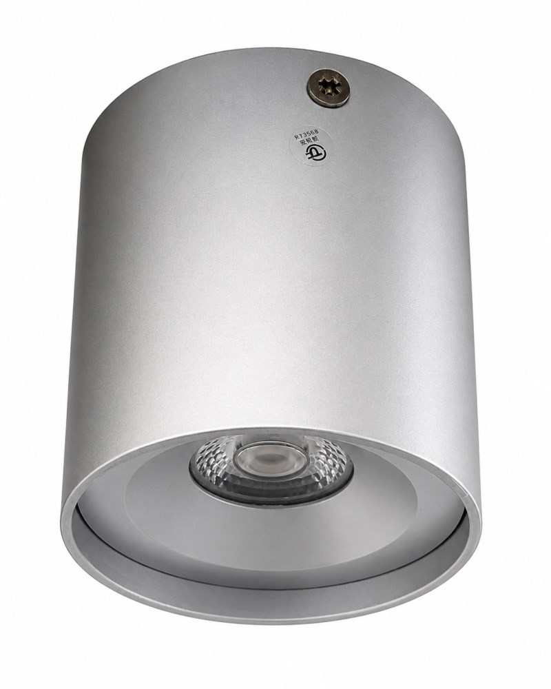 დაუნლაითი MIRAS 10W SL