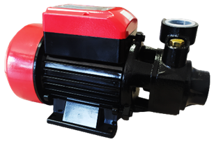 წყლის სატუმბი / EDON QB-60