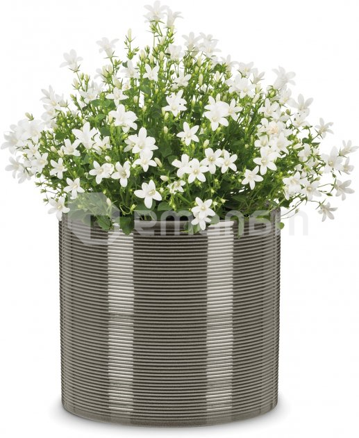 ქოთანი ყვავილის კერამიკული Scheurich 828/23 Glass Grey 23x21 სმ